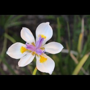 Meet your Posher, Tatum